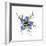 Love in a mist, pressed flower on light panel-Adrian Davies-Framed Photographic Print