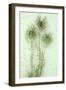 Love-In-A-Mist-Den Reader-Framed Photographic Print