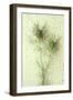 Love-In-A-Mist-Den Reader-Framed Photographic Print