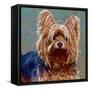 Love in Fur-Cora Niele-Framed Stretched Canvas