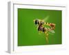 Love in the Air-Gunarto Song-Framed Photographic Print