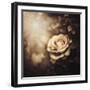 Love in the Light-Philippe Sainte-Laudy-Framed Photographic Print