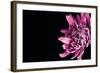 Love Intertwined II-Donnie Quillen-Framed Art Print