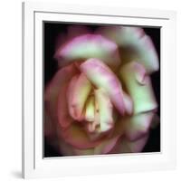 Love is a Rose-Nathan Griffith-Framed Photographic Print