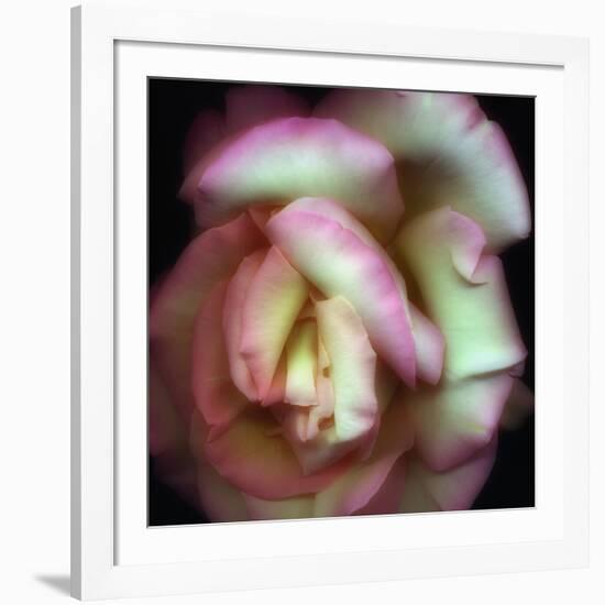 Love is a Rose-Nathan Griffith-Framed Photographic Print