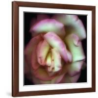 Love is a Rose-Nathan Griffith-Framed Photographic Print