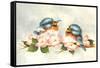 Love Is in the Air - Birds-Peggy Harris-Framed Stretched Canvas