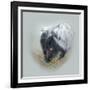 Love Is in the Air - Skunk-Peggy Harris-Framed Giclee Print