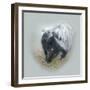 Love Is in the Air - Skunk-Peggy Harris-Framed Giclee Print