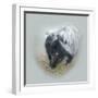 Love Is in the Air - Skunk-Peggy Harris-Framed Giclee Print