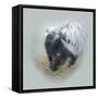 Love Is in the Air - Skunk-Peggy Harris-Framed Stretched Canvas