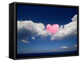 Love Is in the Air-Philippe Sainte-Laudy-Framed Stretched Canvas