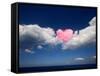 Love Is in the Air-Philippe Sainte-Laudy-Framed Stretched Canvas