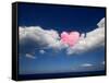 Love Is in the Air-Philippe Sainte-Laudy-Framed Stretched Canvas