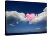 Love Is in the Air-Philippe Sainte-Laudy-Stretched Canvas