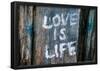 Love is Life Graffiti-null-Framed Poster