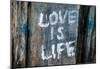 Love is Life Graffiti-null-Mounted Poster