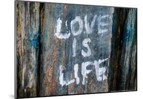 Love is Life Graffiti-null-Mounted Poster