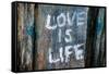 Love is Life Graffiti-null-Framed Stretched Canvas