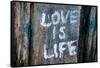 Love is Life Graffiti-null-Framed Stretched Canvas