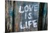 Love is Life Graffiti-null-Mounted Photo