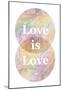 Love Is Love Venn Diagram-null-Mounted Poster