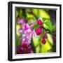 Love is More Than a Word-Philippe Sainte-Laudy-Framed Photographic Print