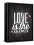 Love is the Answer-Kimberly Allen-Framed Stretched Canvas