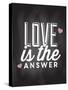 Love is the Answer-Kimberly Allen-Stretched Canvas