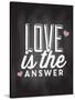 Love is the Answer-Kimberly Allen-Stretched Canvas