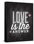 Love is the Answer-Kimberly Allen-Framed Stretched Canvas