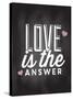 Love is the Answer-Kimberly Allen-Stretched Canvas