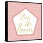 Love Is the Answer-Tina Lavoie-Framed Stretched Canvas