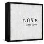 Love Is The Answer-Jamie MacDowell-Framed Stretched Canvas