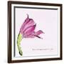 Love Is the Flower-FS Studio-Framed Giclee Print