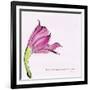 Love Is the Flower-FS Studio-Framed Giclee Print