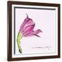 Love Is the Flower-FS Studio-Framed Giclee Print