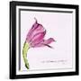 Love Is the Flower-FS Studio-Framed Giclee Print