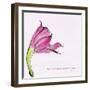 Love Is the Flower-FS Studio-Framed Giclee Print