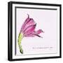 Love Is the Flower-FS Studio-Framed Giclee Print