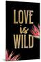 Love is Wild-Kimberly Allen-Mounted Art Print