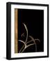 Love Leaps I-Jennifer Perlmutter-Framed Giclee Print