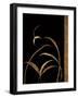 Love Leaps II-Jennifer Perlmutter-Framed Giclee Print