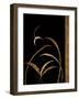 Love Leaps II-Jennifer Perlmutter-Framed Giclee Print