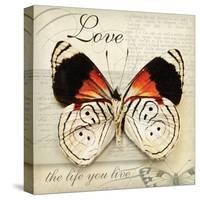 Love Life-Amy Melious-Stretched Canvas