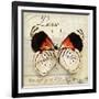 Love Life-Amy Melious-Framed Art Print