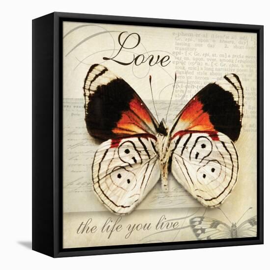 Love Life-Amy Melious-Framed Stretched Canvas