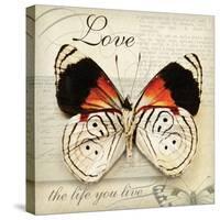 Love Life-Amy Melious-Stretched Canvas