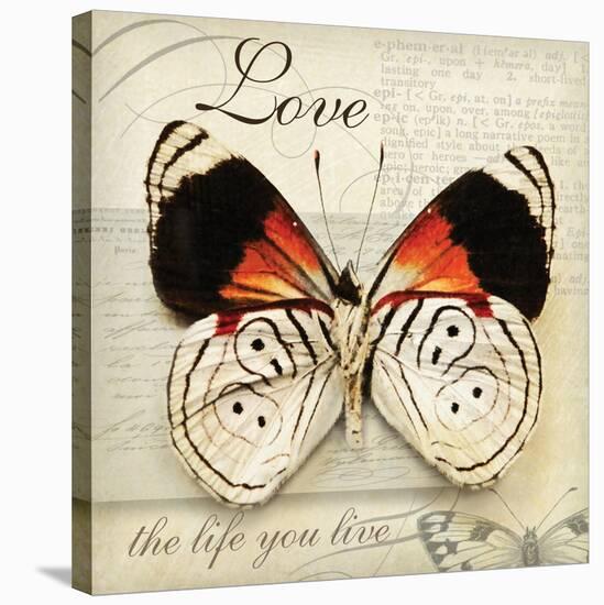 Love Life-Amy Melious-Stretched Canvas