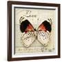 Love Life-Amy Melious-Framed Art Print